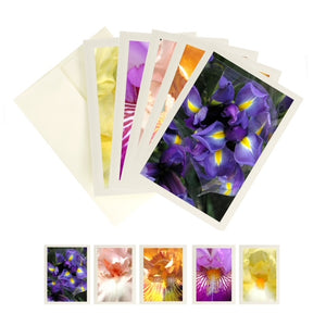 Bric a Brac: Iris Card Collection