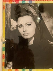 Autographed photograph of Sophia Loren