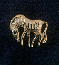 Load image into Gallery viewer, Jewelry - Zebra pin
