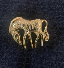 Load image into Gallery viewer, Jewelry - Zebra pin
